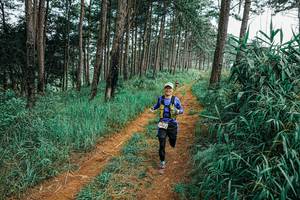 BIB: 
                            <button type="button" onclick="openModal(25658257)" class="btn btn-primary btn-sm float-right btn-popup" data-toggle="modal" data-target=".modal-high-quality">
                        <i class="fas fa-shopping-cart"></i> Add to Cart
                    </button>
                                            <button type="button" onclick="isThisMe(25658257, true)" class="btn btn-success btn-sm float-right btn-popup btn-isme hidden" data-toggle="tooltip" data-placement="bottom" title="นี่คือรูปของคุณใช่ไหม คลิกที่นี่เพื่อเอาเข้าอัลบั้ม">
                        <i class="fas fa-plus"></i> Add to album
                    </button>
                    <button type="button" onclick="isThisMe(25658257, false)" class="btn btn-warning btn-sm float-right btn-popup btn-isnotme hidden">
                        <i class="fas fa-ban"></i> Remove from album
                    </button>